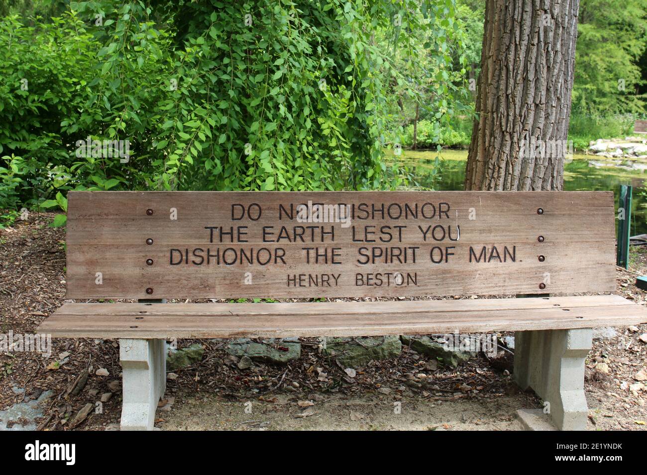 A wood park bench engraved with a quote from Henry Beston in front of a  weeping tree and lake at Rotary Botanic Gardens in Janesville, Wisconsin,  USA Stock Photo - Alamy, image size:1300x956