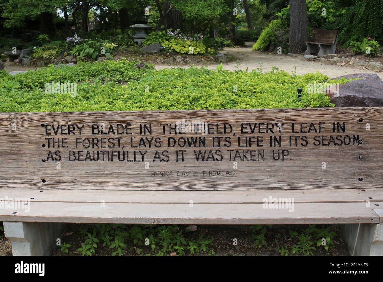 A wood park bench engraved with a quote from Henry David Thoreau in front  of a landscaped Japanese Garden at the Rotary Botanic Gardens in Janesville  Stock Photo - Alamy, image size:1300x956