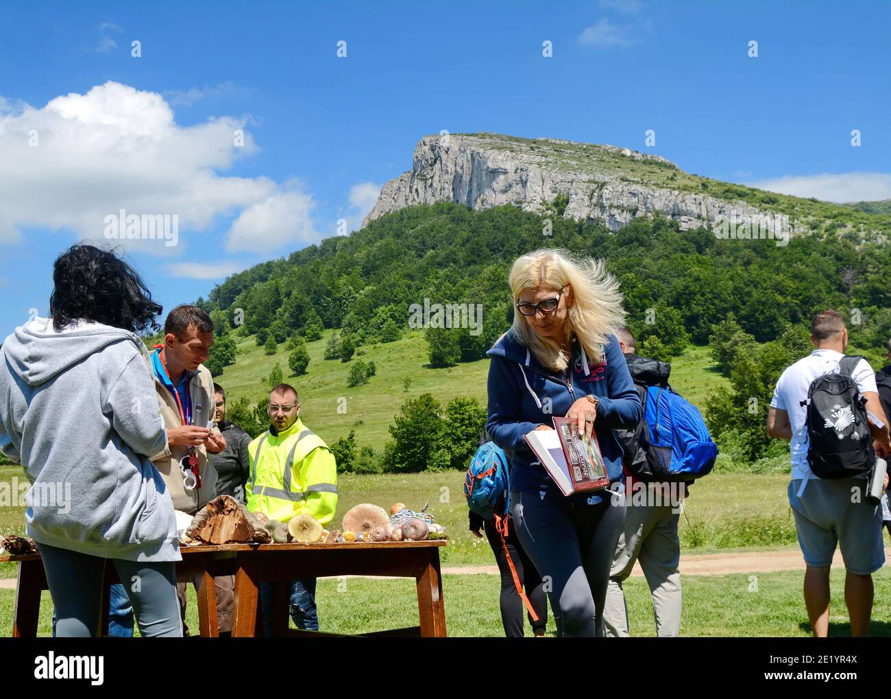 Bor serbia hi-res stock photography and images - Alamy