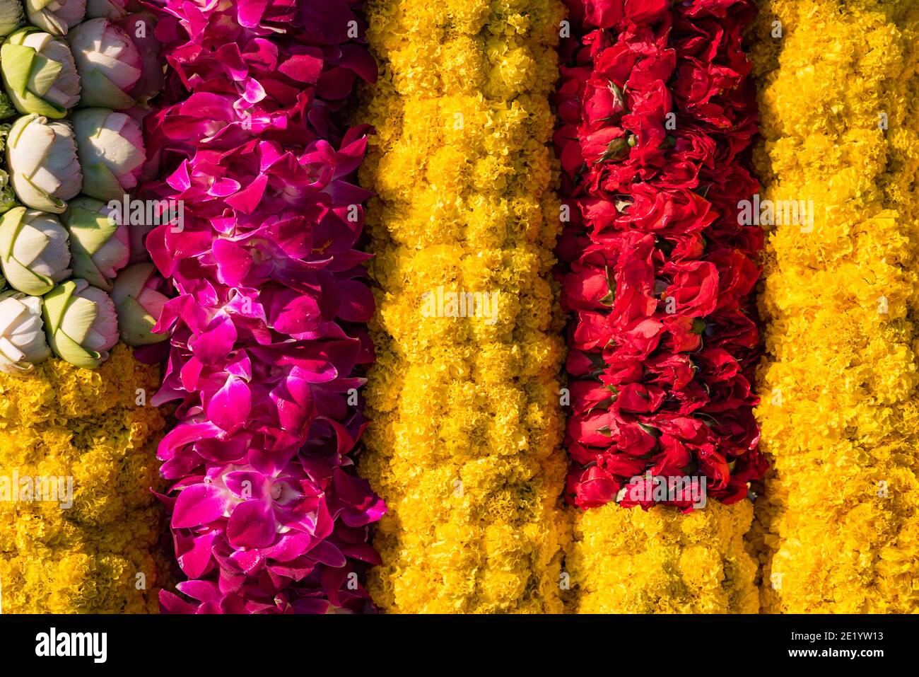 Garlands made of fresh flowers: yellow marigolds, red roses, pink orchids, and lotuses. Close-up. Holiday decoration in Thailand. Stock Photo