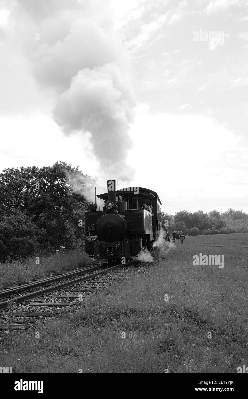 'Saccharine' entering the balloon loop. Stock Photo
