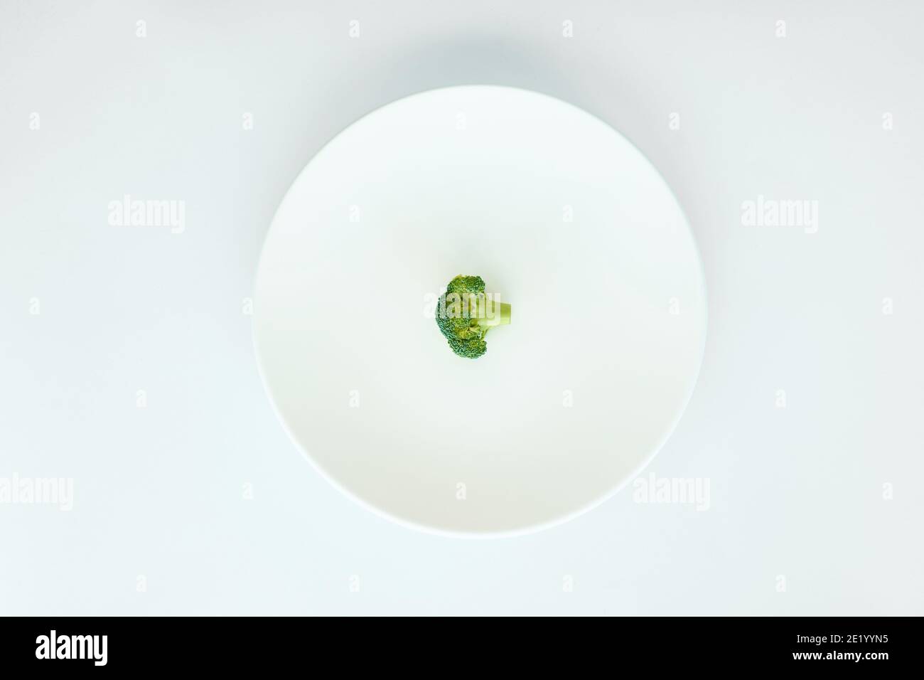 piece of broccoli isolated in a white plate on a white background Stock Photo