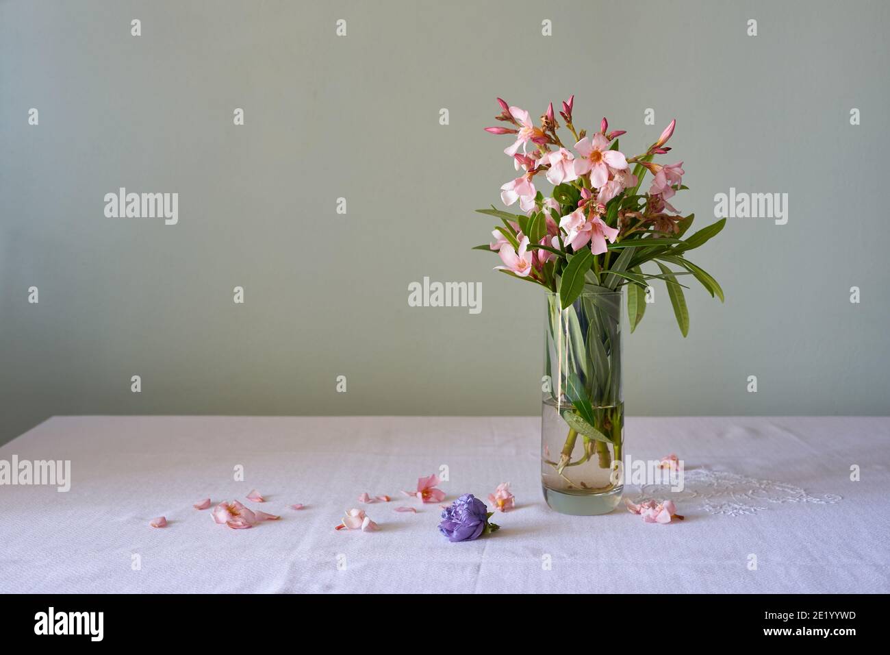 bouquet of flowers in glass with water, fallen oleanders Stock Photo