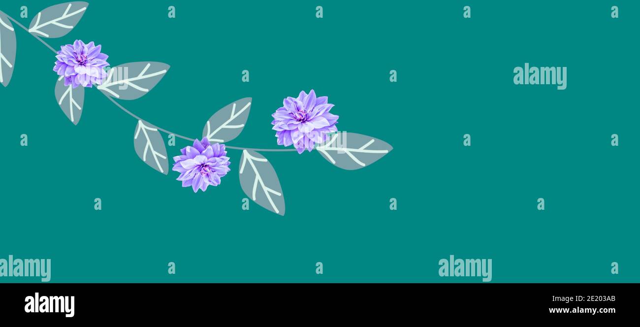 Natural background with flowers and plants Stock Photo - Alamy