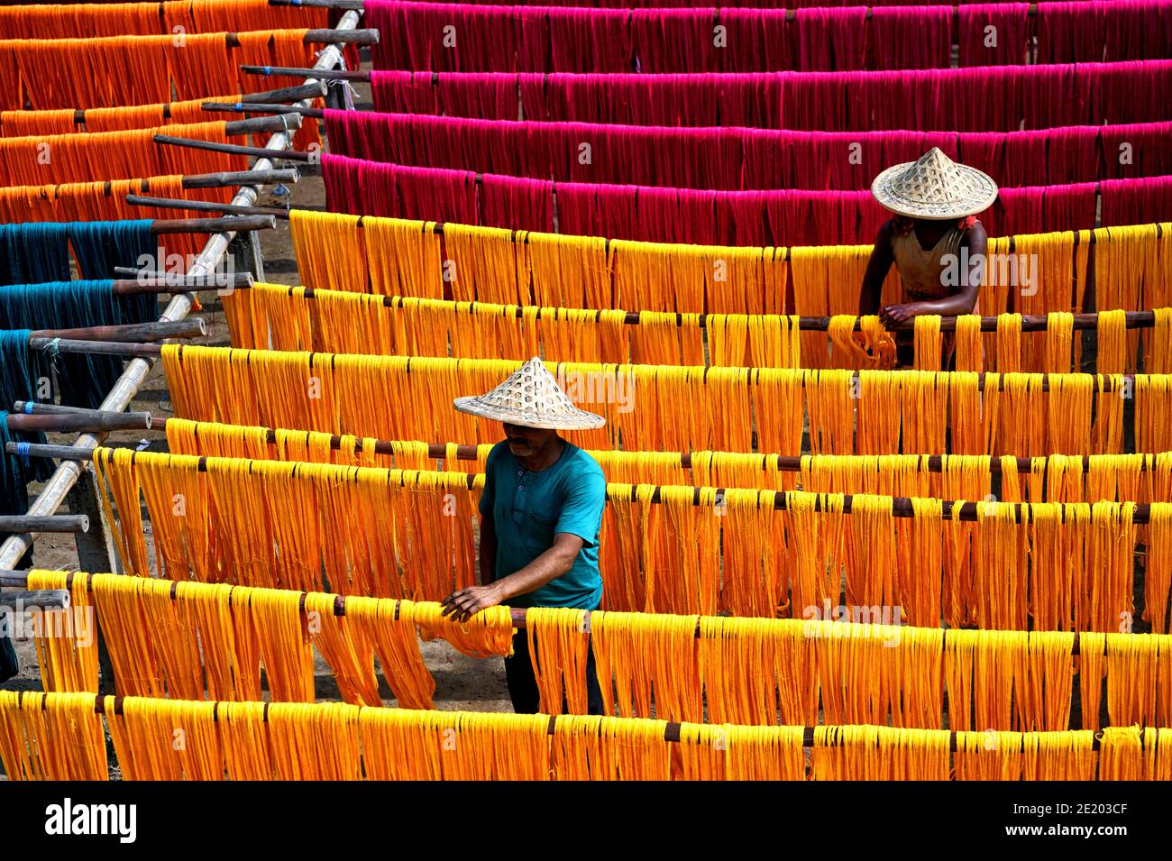 Weavers rinse the colourful Jute fibre to dry under sun which will be used to extract threads to make handloom dresses.The traditional dress of an Indian Woman is Saree which is very popular throughout the World for its design, variety, textures, and colours. Santipur & Fulia from Nadia districts of West Bengal, India where 90 % population are engaged in weaving activities from long Generation. Stock Photo