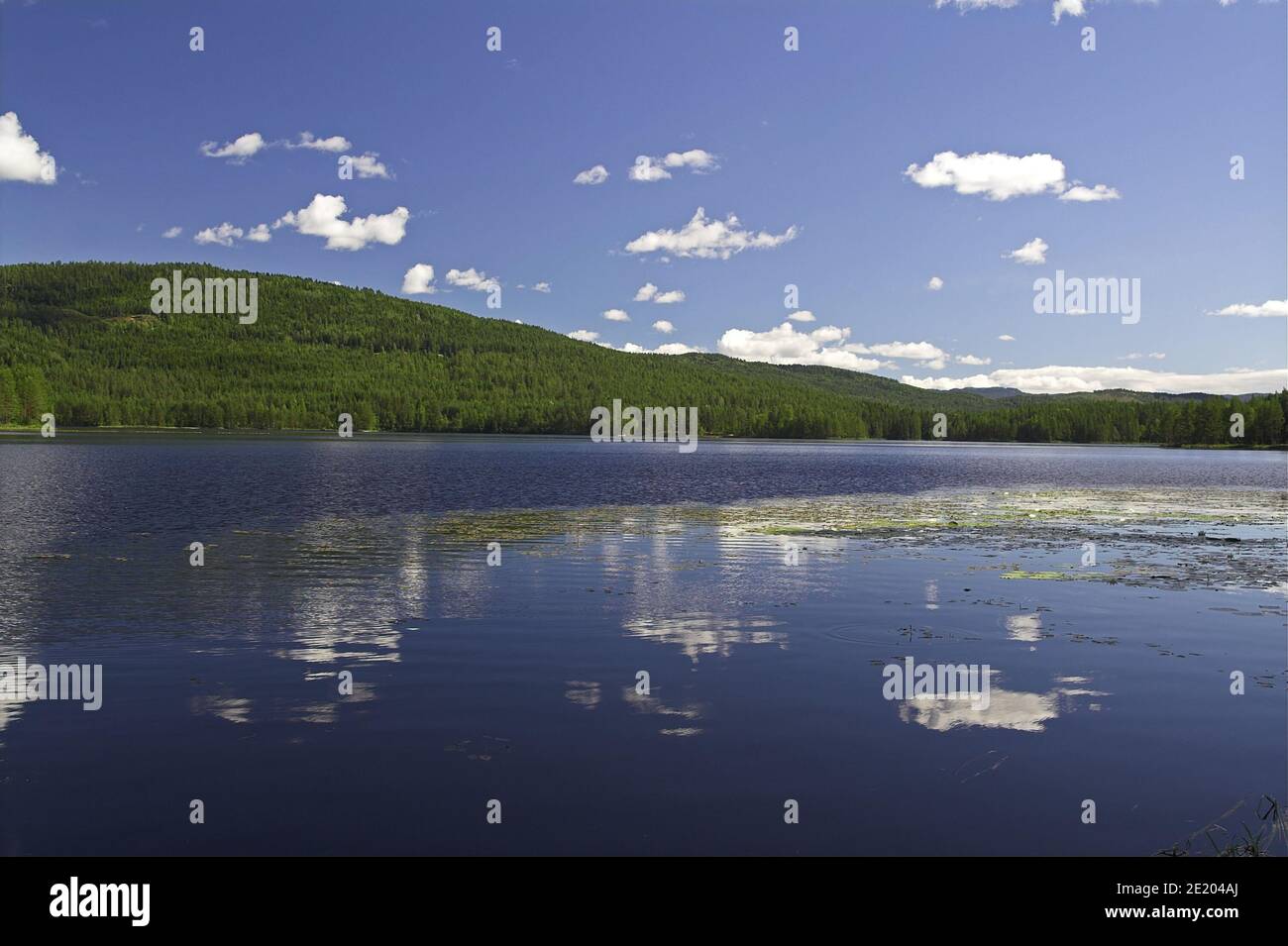 Heddal, Norway, Norwegen; Lakes and forests - a typical landscape of southern Norway. Seen und Wälder - eine typische Landschaft Südnorwegens. Stock Photo