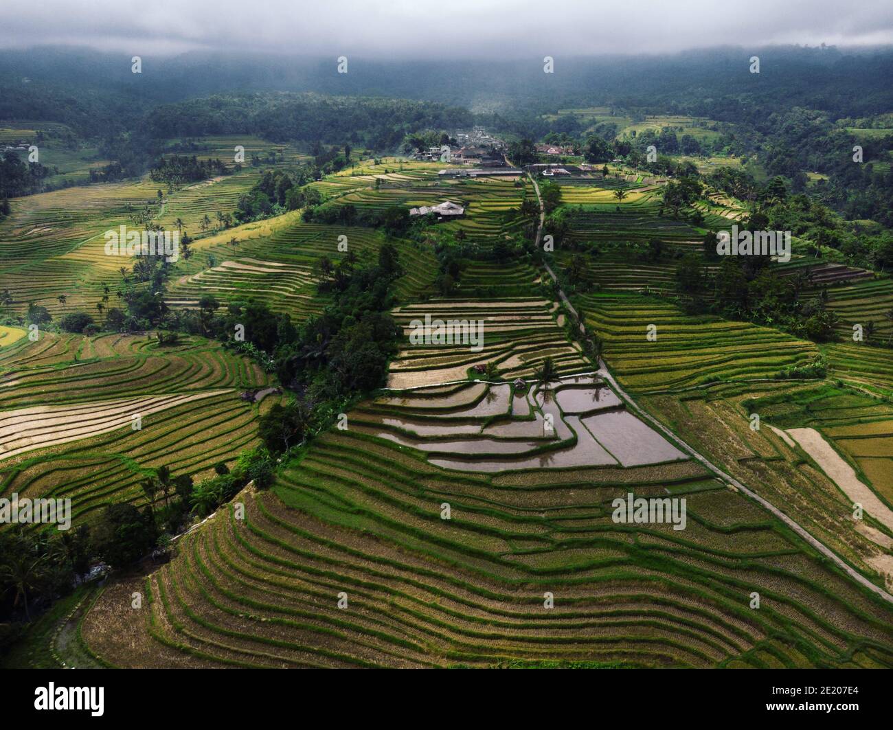 Tabanan Rise Field Paddy rice field of tabanan hi-res stock photography and images - Alamy