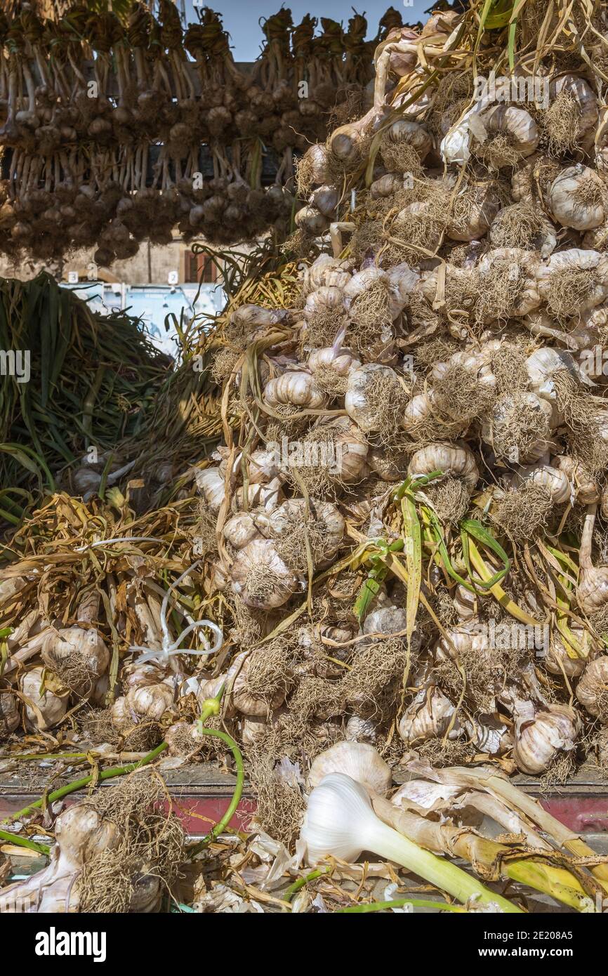 Fresh garlic for sale on the farmers market in Sicily Stock Photo - Alamy