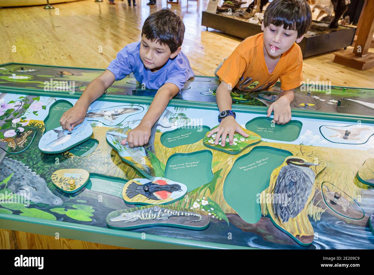 Alabama Spanish Fort 5 Rivers Alabama Delta Resource Center centre,exhibit hands on boys puzzle solving, Stock Photo