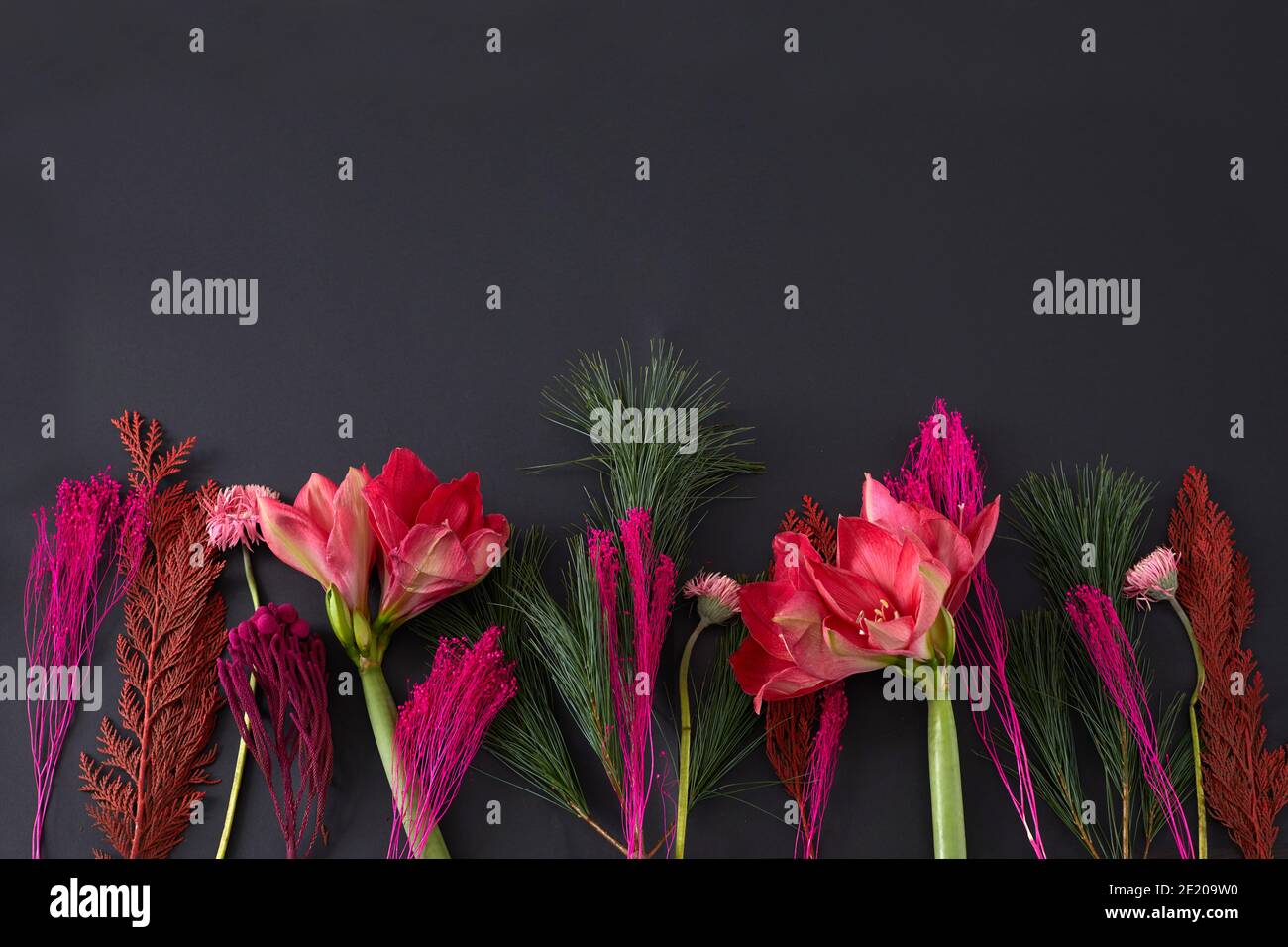 Top view composition of bright red colored flowers and green stems arranged in row on black background Stock Photo