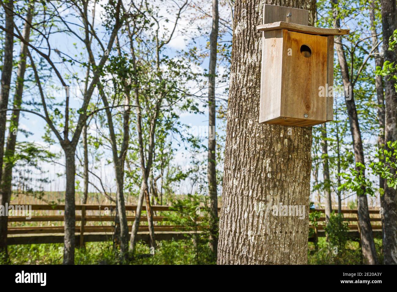 Alabama Historic Blakeley State Park Tensaw River Nature Boardwalk birdhouse, Stock Photo