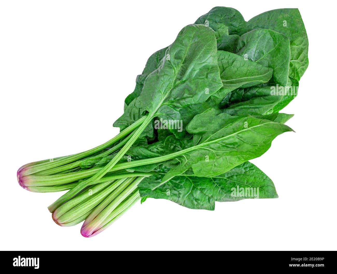 Fresh Spinach leaves isolated on white background. Raw green spinach  Top view. Vegan  Food concept Stock Photo