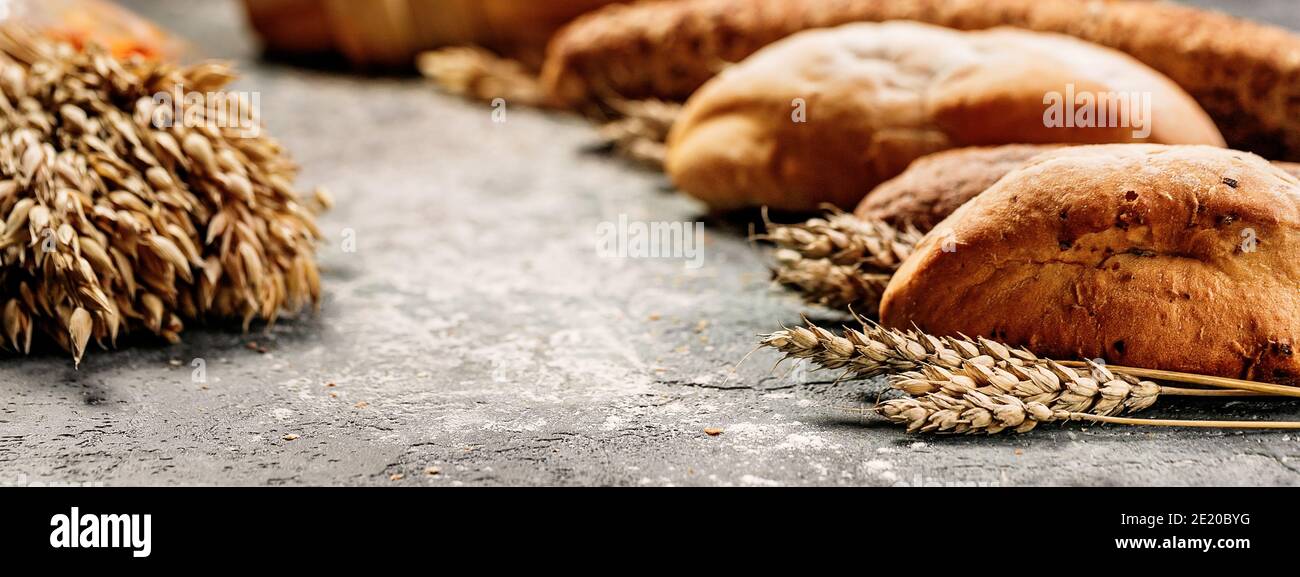 Web banner format. Close-up of Italian ciabatta bread and wheat ears on a gray concrete background. Mediterranean traditional national cuisine. Copy s Stock Photo