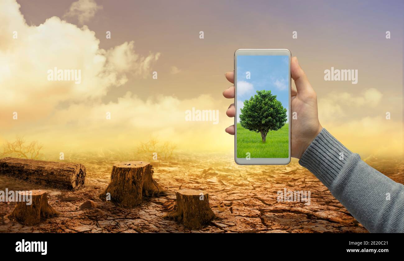 Woman hand holds modern green tree screen smartphone on dead stump tree and cracked land. Saving environment and natural conservation concept. Stock Photo