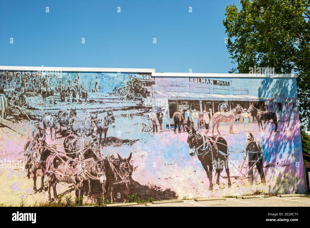 Alabama Dothan St. Andrews Street Wiregrass Region murals local history, Stock Photo