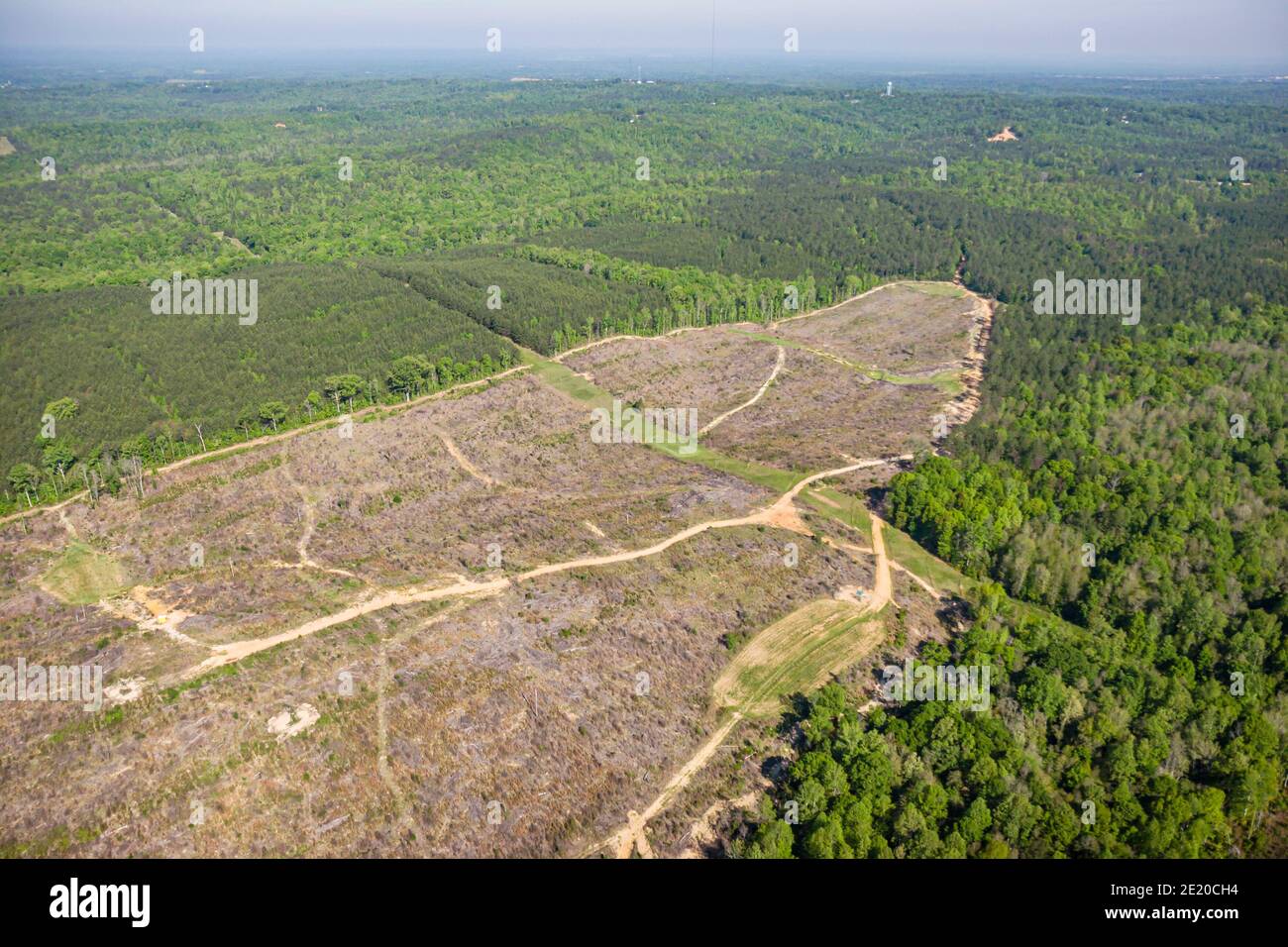 Tuscaloosa Alabama,Talladega National Forest,logging Federal land natural resource,aerial overhead view trees, Stock Photo
