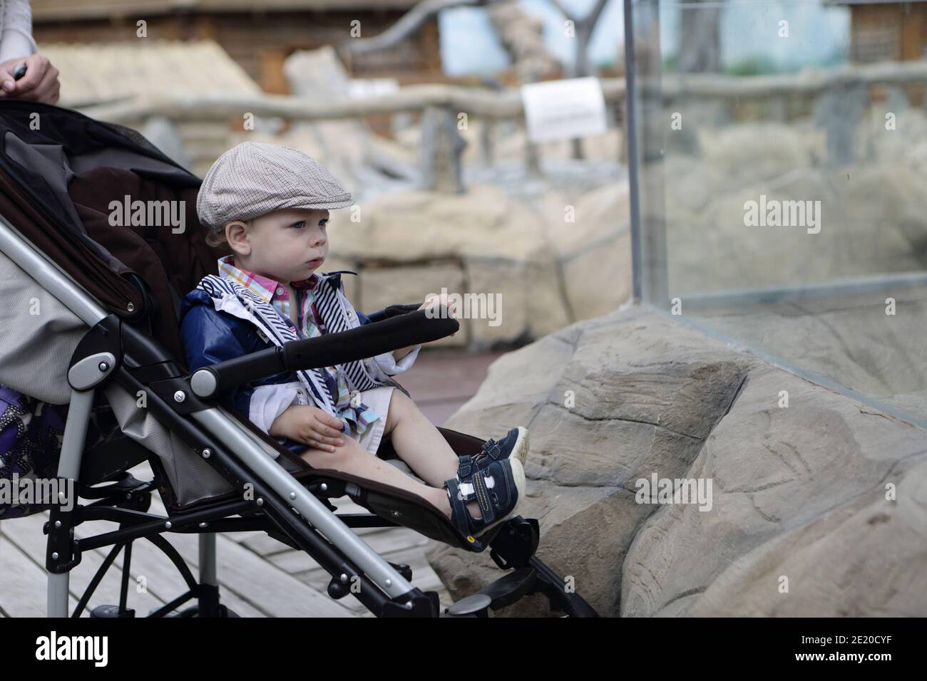 Portrait of a child on stroller in zoo Stock Photo Alamy