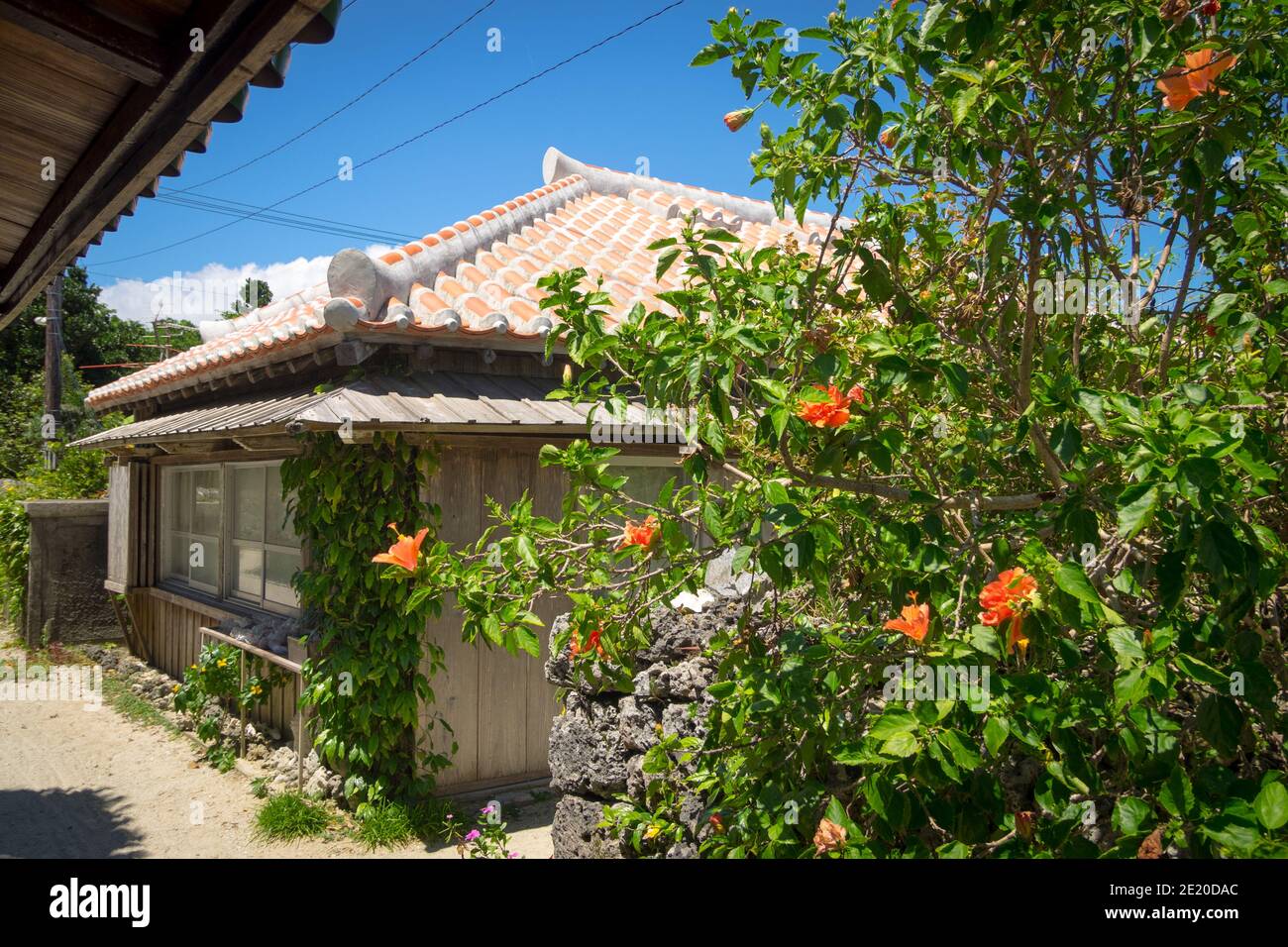 A traditional Okinawan house (Ryukyuan house) with distinct terracotta