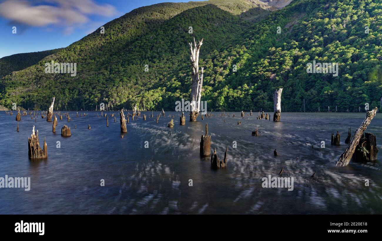 Lake Stanley, created by the Murchison earthquake in 1929, accessed via the Killdevil Track, Kahurangi National Park, Golden Bay, New Zealand. Stock Photo