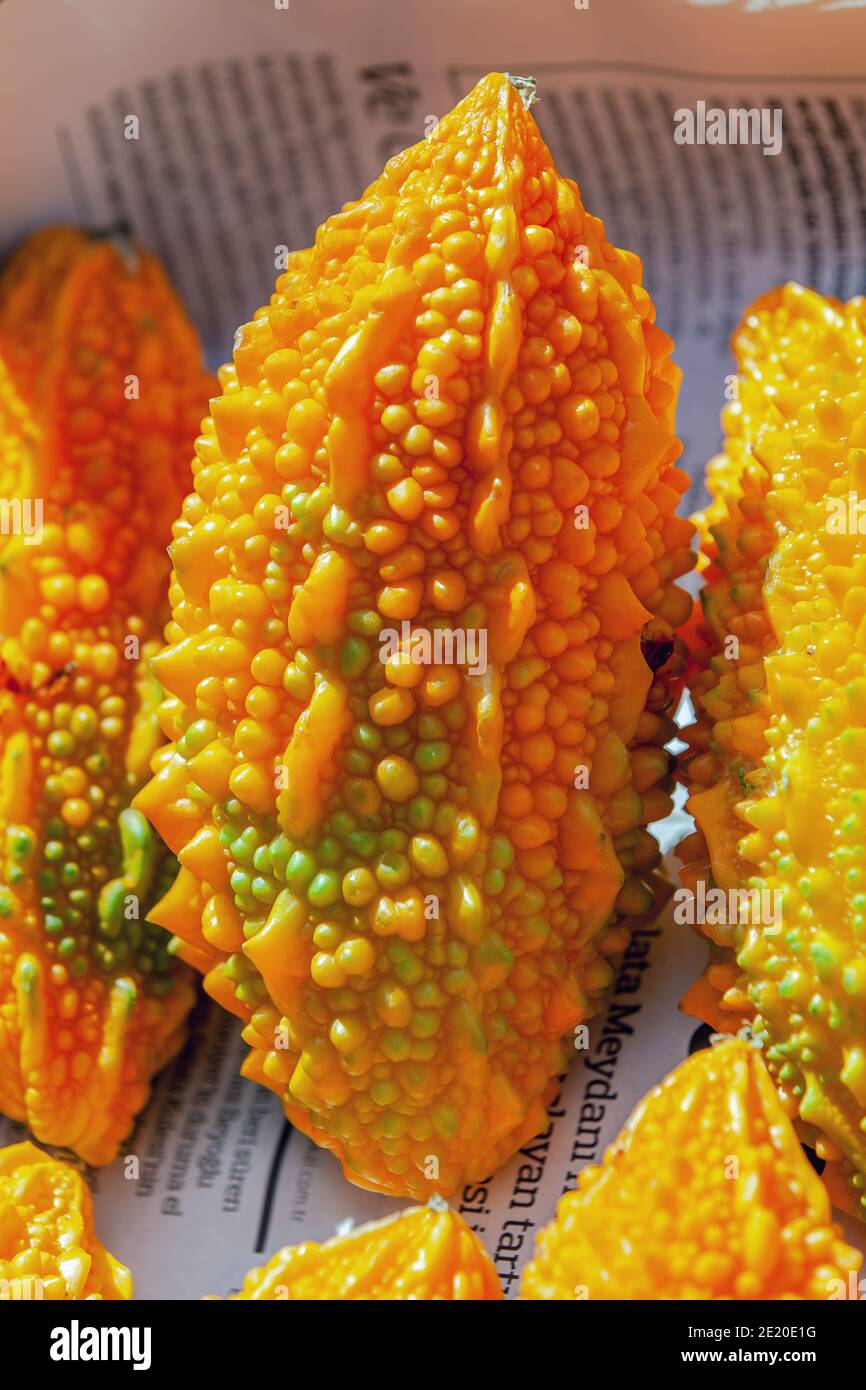 Bitter melon also called balsam pear, bitter gourd, bitter squash, Goya