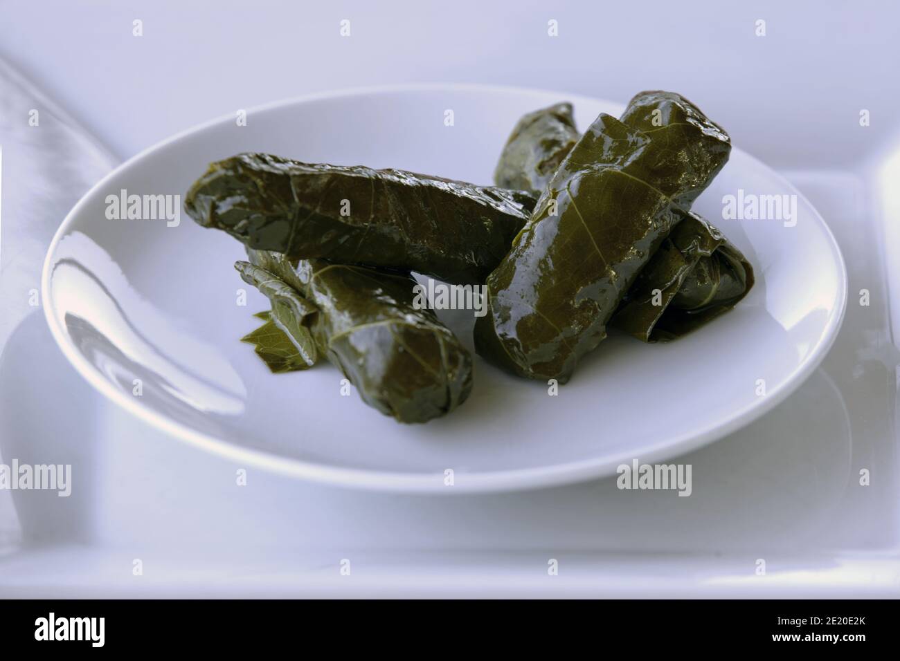 Grape Sarma (Dolma), stuffed grape leaves with rice and meat on white plate, selective focus. Stock Photo