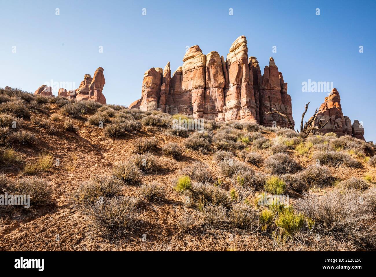 Along the Needles Chesler Park trail. Canyonland National Park, Utah, USA. Stock Photo