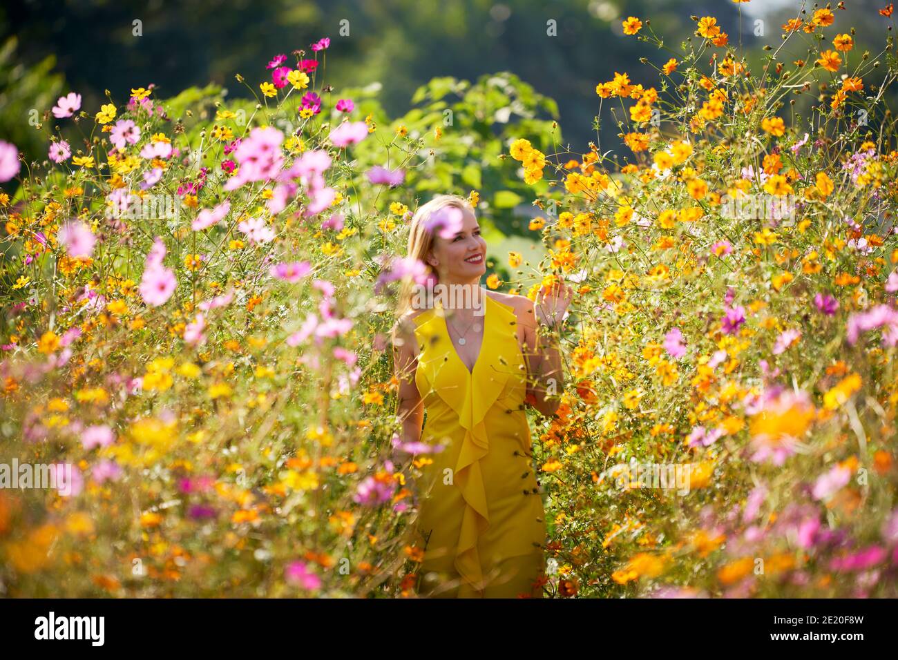 Backlit model hi-res stock photography and images - Alamy