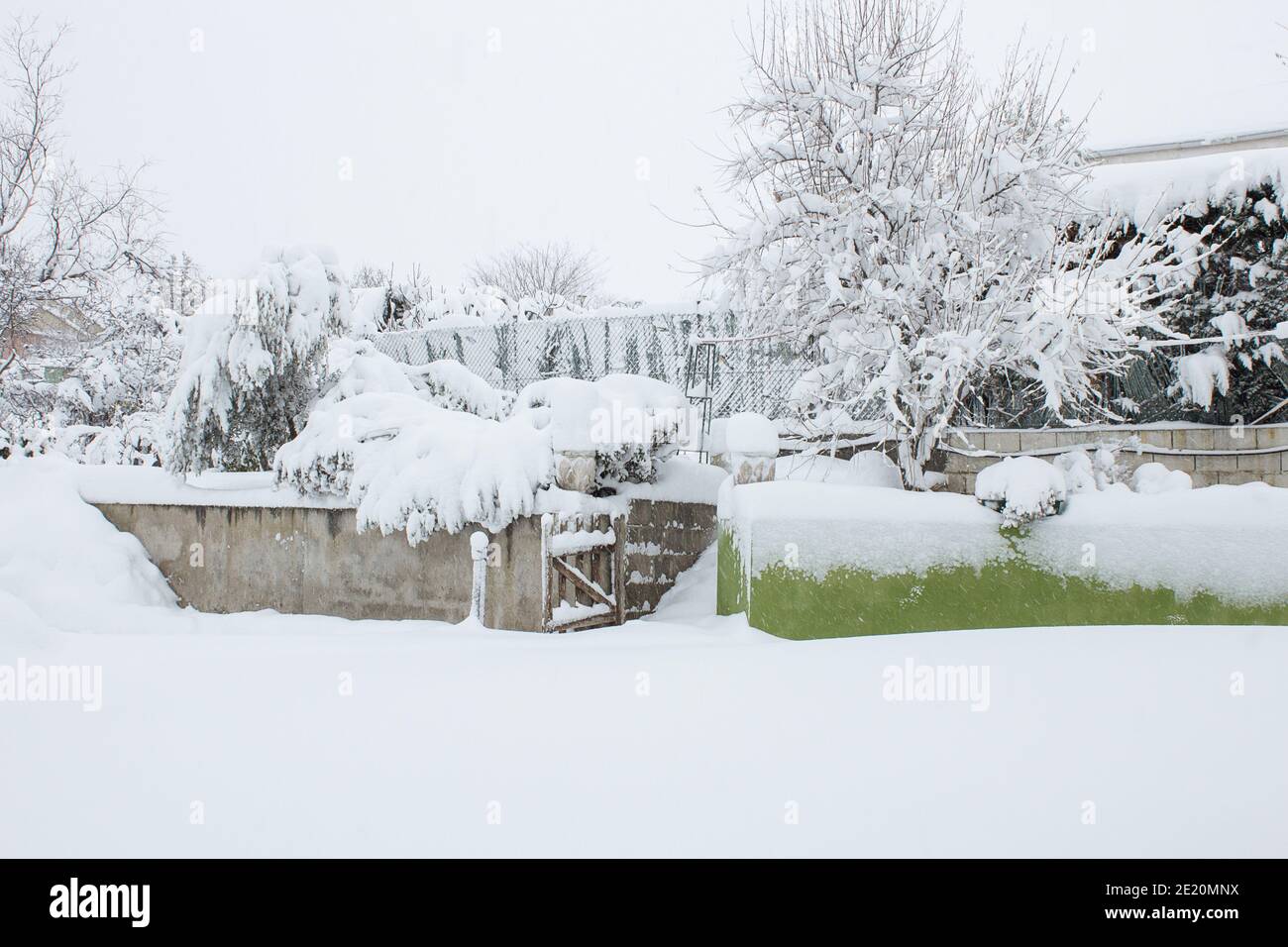 Winter landscape of a courtyard with plants and trees covered in snow. Rough weather. Stock Photo