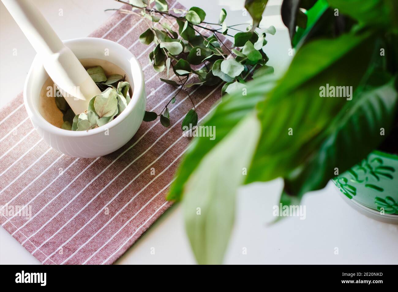 Healing herbs in white ceramic mortar and pestle. Alternative medicine concept. eucaliptus
