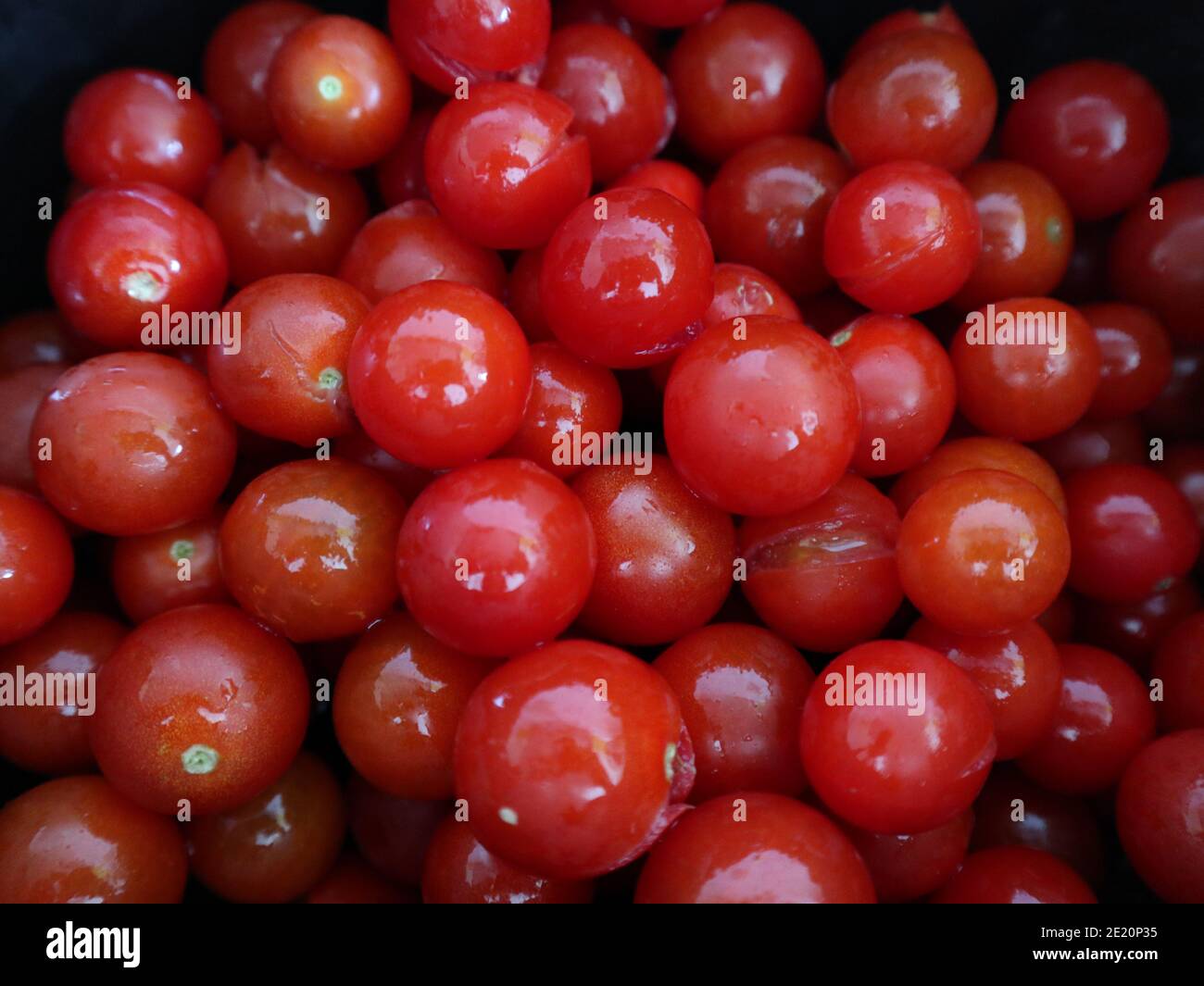 Top down view of shiny Cherry Tomatoes covered in waterdrops on black background Stock Photo