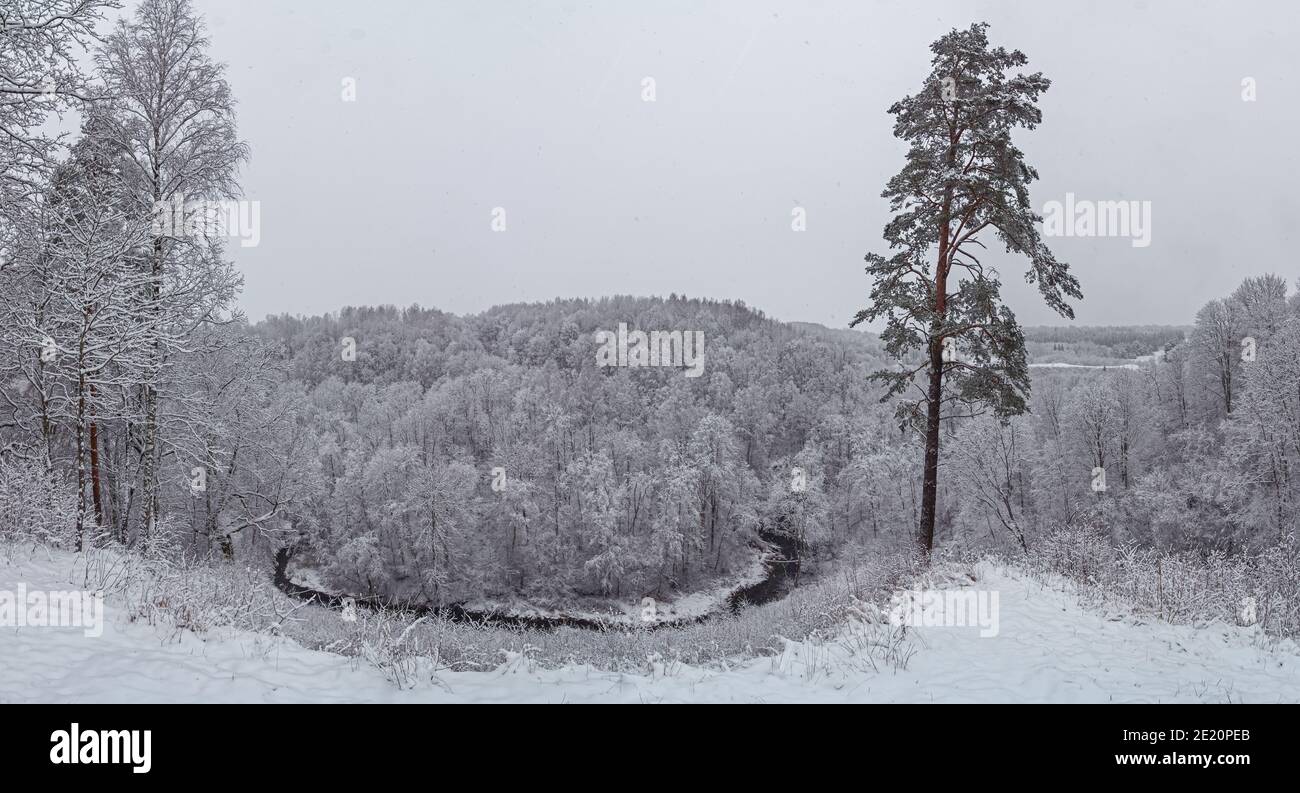 Bright winter landscape with snow covered trees Stock Photo - Alamy