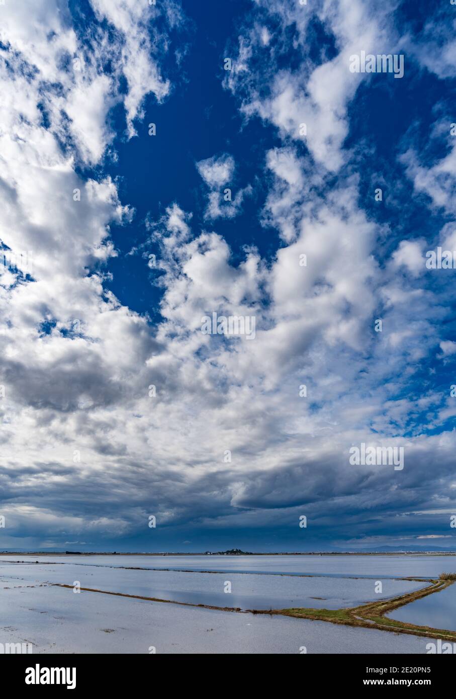 Flooded rice fields, heap and cloudy sky Stock Photo