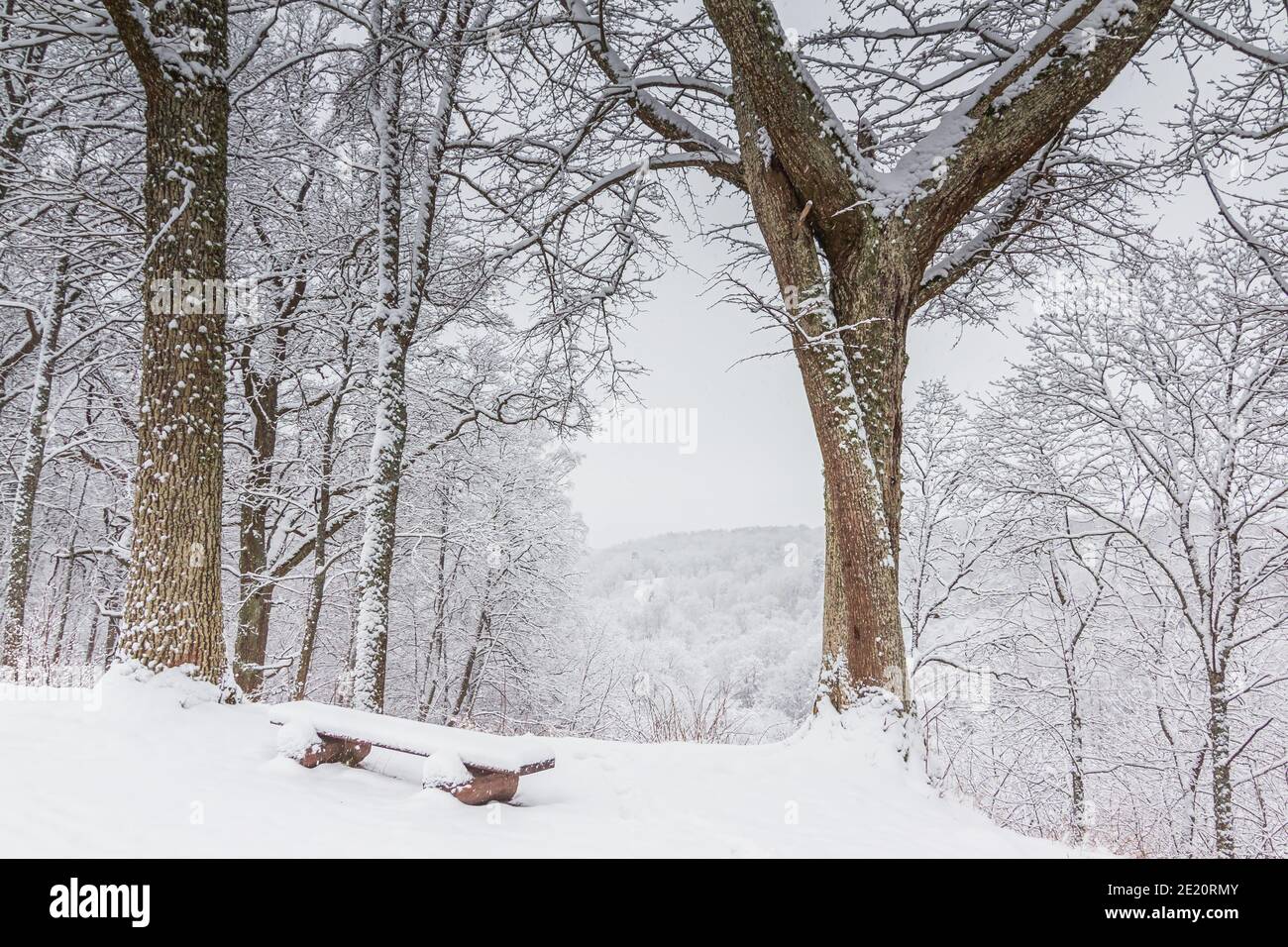 Bench covered snow trees hi-res stock photography and images - Alamy