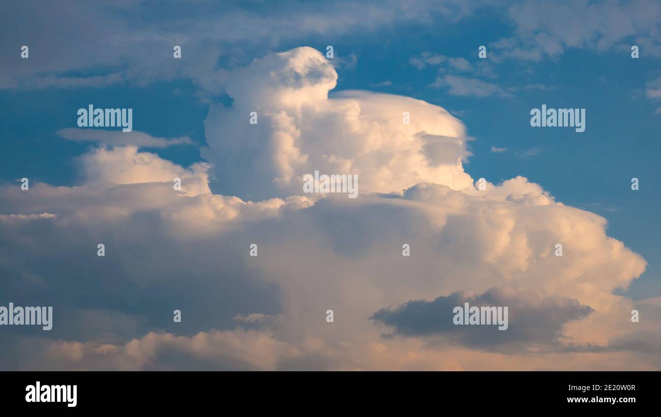 Massive rain cloud cumulus congestus or towering cumulus forming in the blue sky Stock Photo