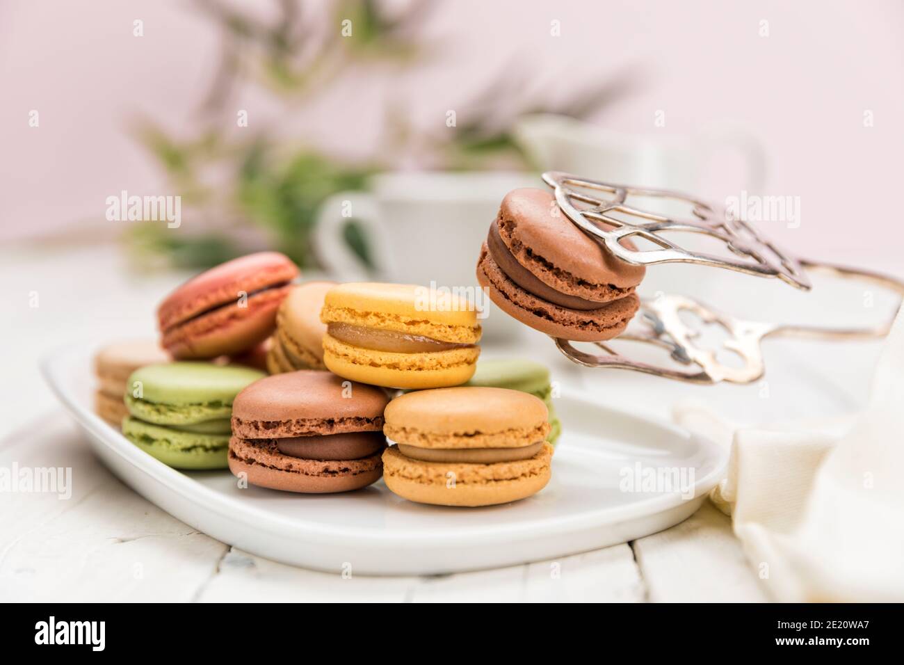 Assortment of French macarons pastry on coffee table, focus on a chocolate flavored one held up with pastry tongs, Stock Photo