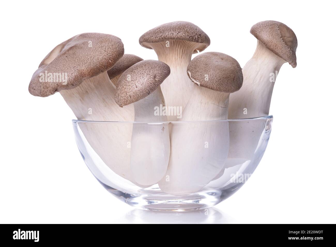 Heap of fresh raw mini king oyster mushrooms isolated on white