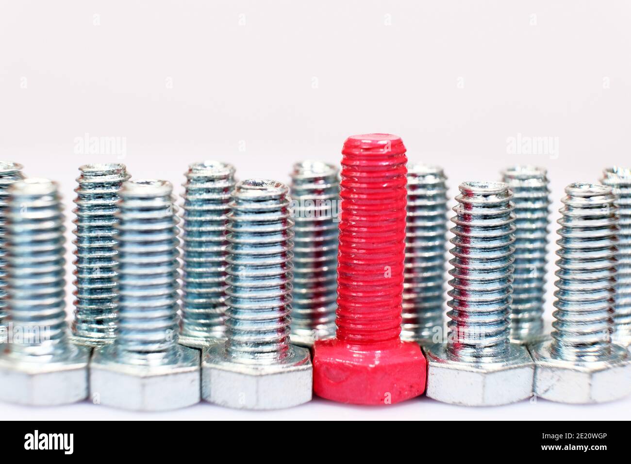 Closeup of pink bolt n a group of galvanized metallic screws. Leadership, individuality, dissimilarity concept. Stainless steel bolts isolated on whit Stock Photo