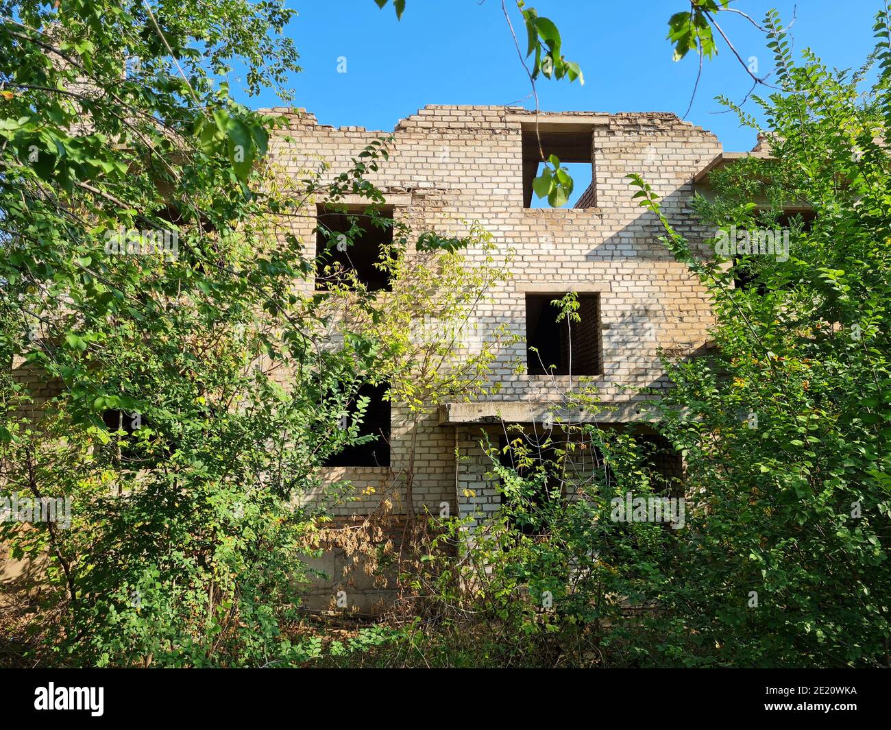 Overgrown Building Tree Unfinished abandoned brick apartment building overgrown with green ...