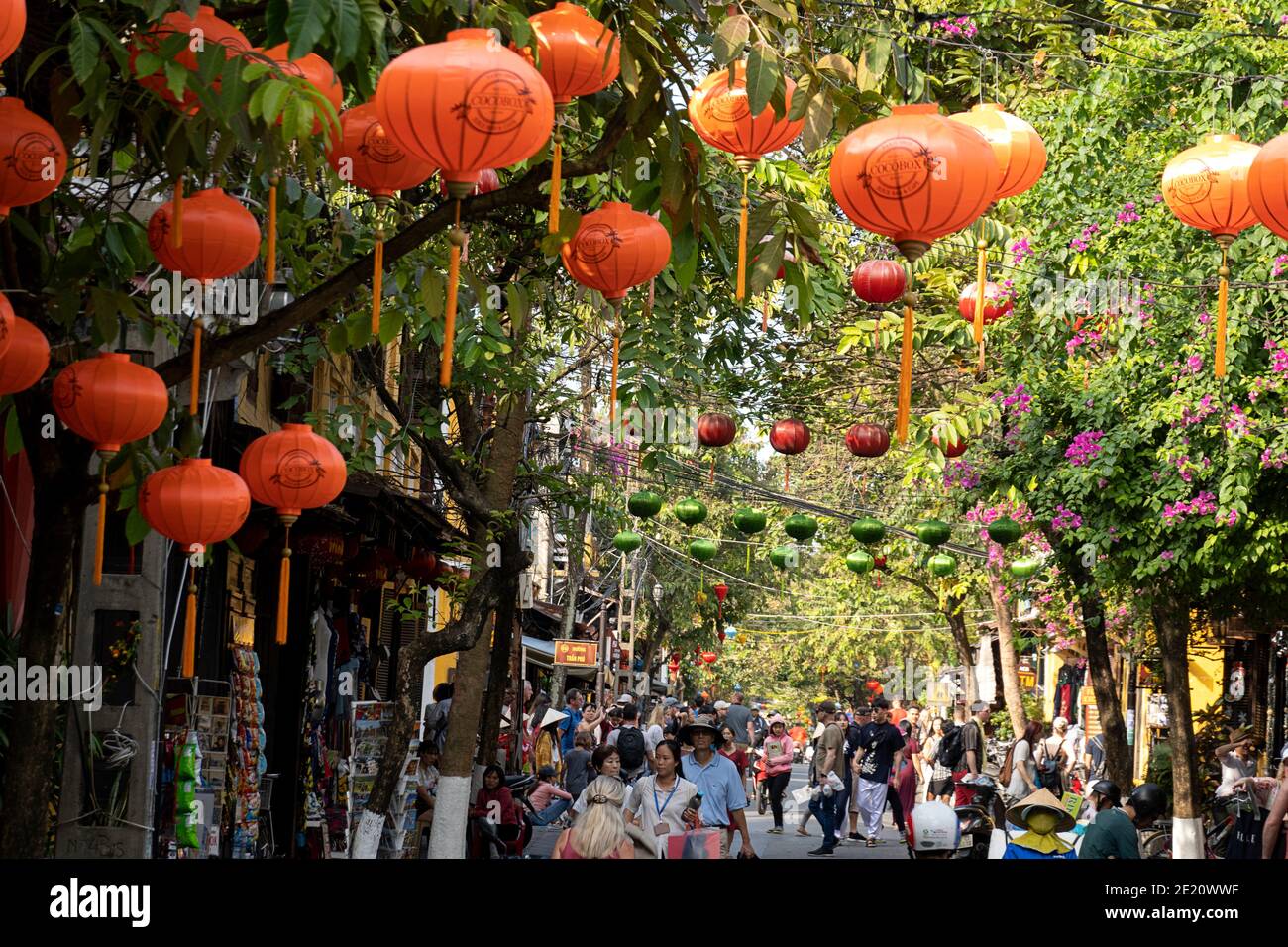 Paper lanterns on a tree lined avenue in Vietnam Stock Photo