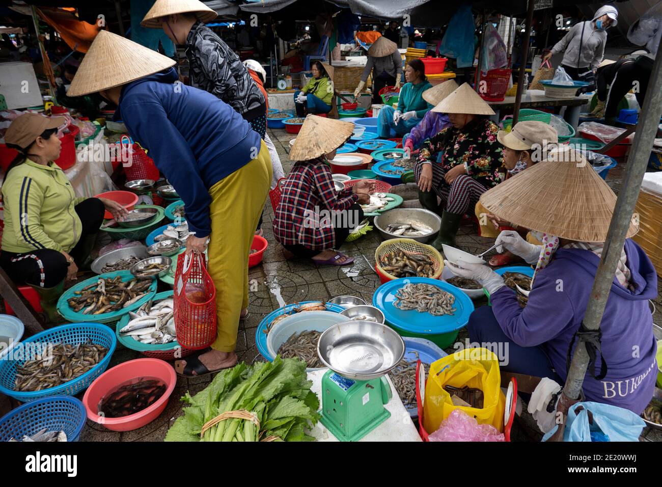 Sea food at a market in Vietnam Stock Photo