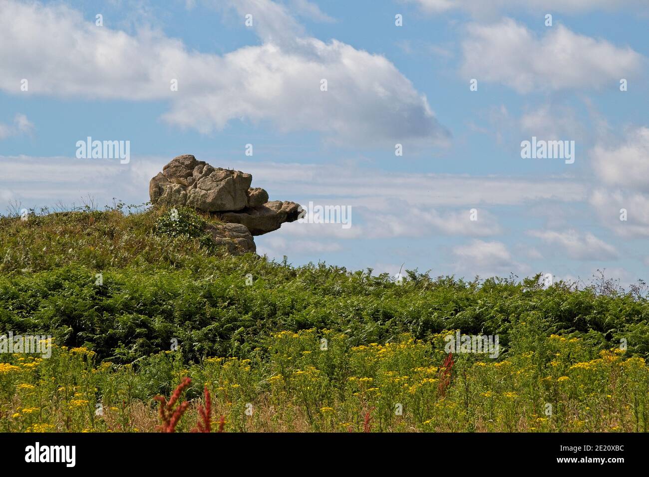 landscape with trees and rocks Stock Photo - Alamy