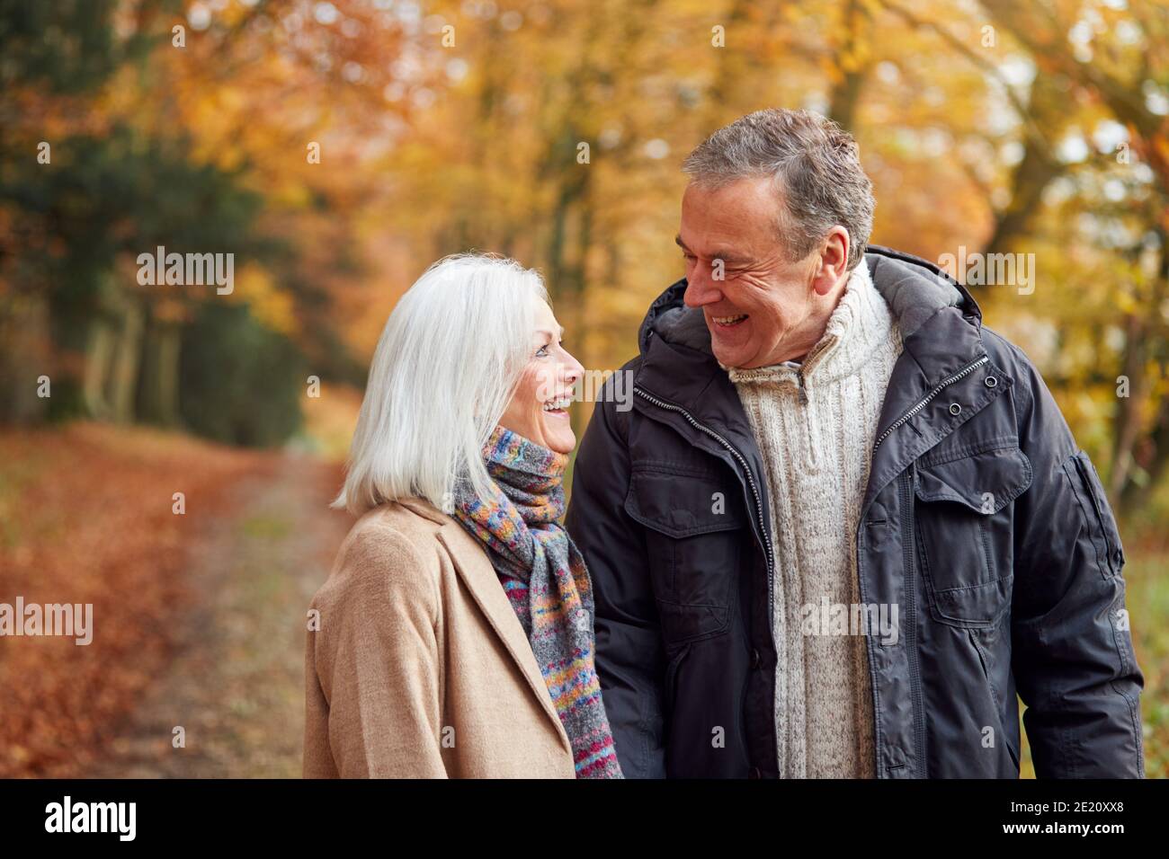 Couple walking together through autumn trees hi-res stock photography ...