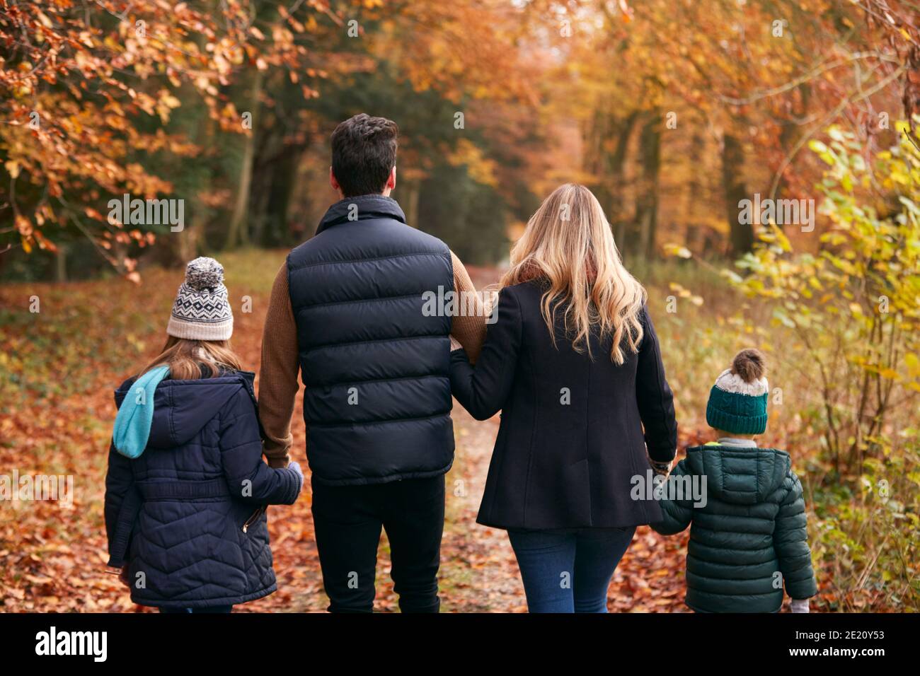 Rear View Of Family Walking Arm In Arm Along Autumn Woodland Path ...