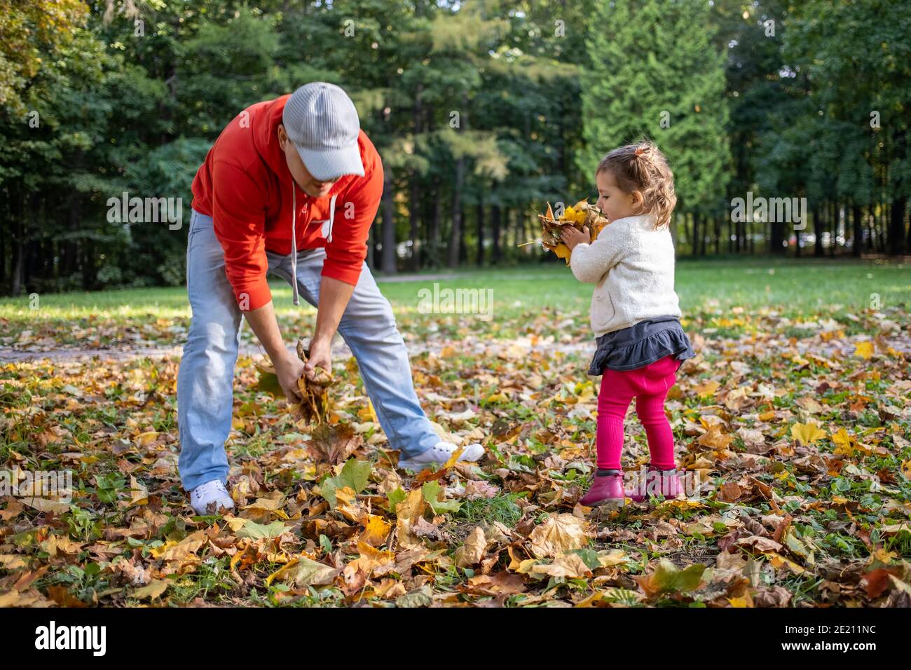 little toddler girl plays with father outdoors in autumn park Stock ...