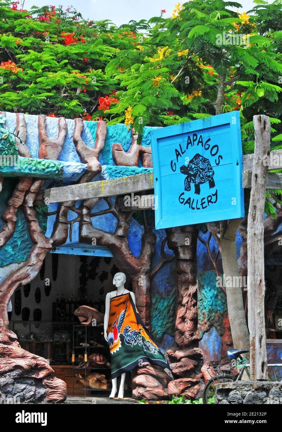 Galapagos Gallery High Resolution Stock Photography and Images - Alamy