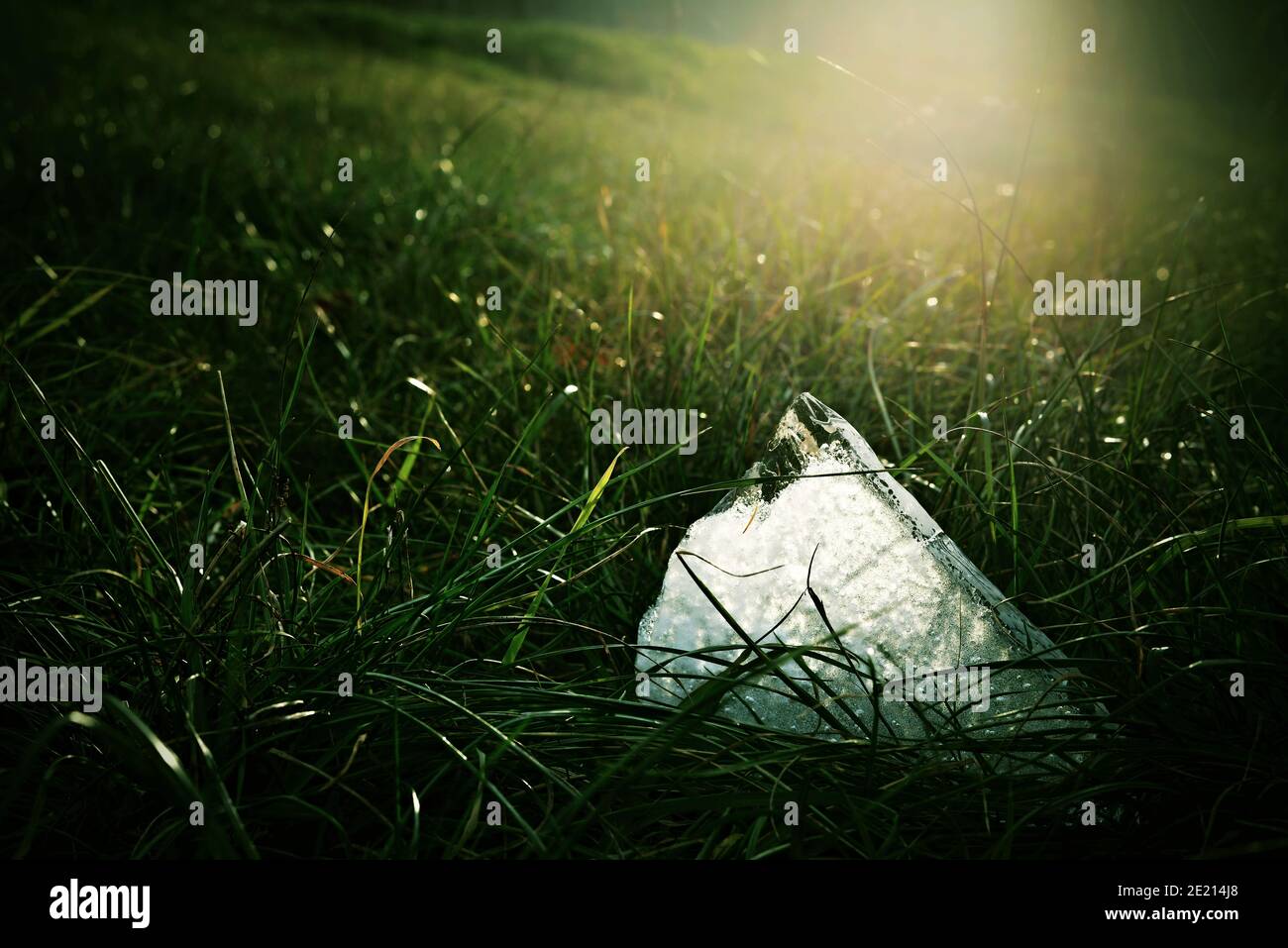 Romantic view of a piece of ice in the grass bathed in sunlight. Winter landscape with green grass, ice and sun in the background. Contrast between ic Stock Photo
