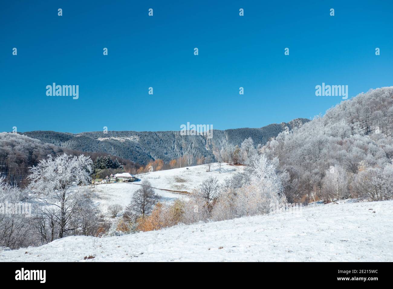 View of snowy hills with winter trees under a blue sky Stock Photo - Alamy