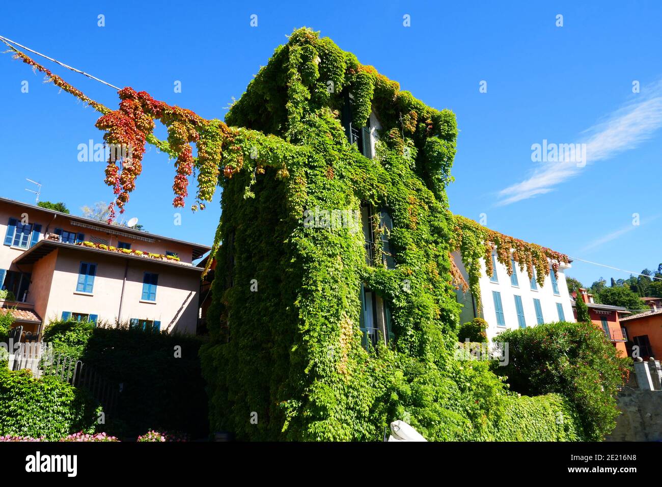 Italy, Lombardy, Como Lake, Lario, Bellagio, Pescallo - Nature, climbing plantss, architecture, Stock Photo