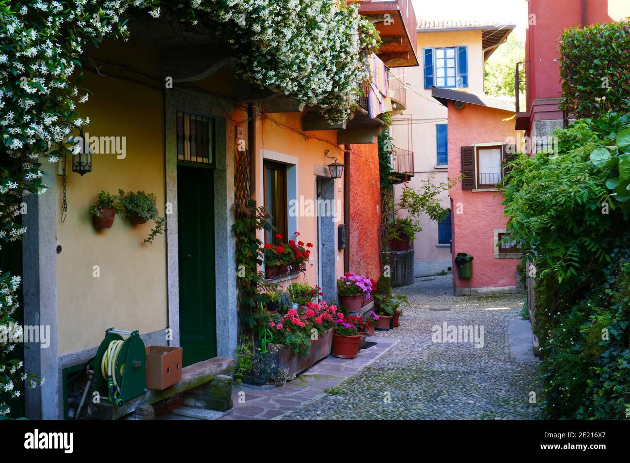Italy, Lombardy, Como Lake, Lario, Bellagio, Pescallo, climbing plantss, architecture, Stock Photo