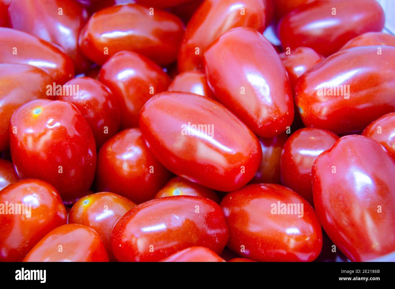 Baby plumb tomato hires stock photography and images Alamy